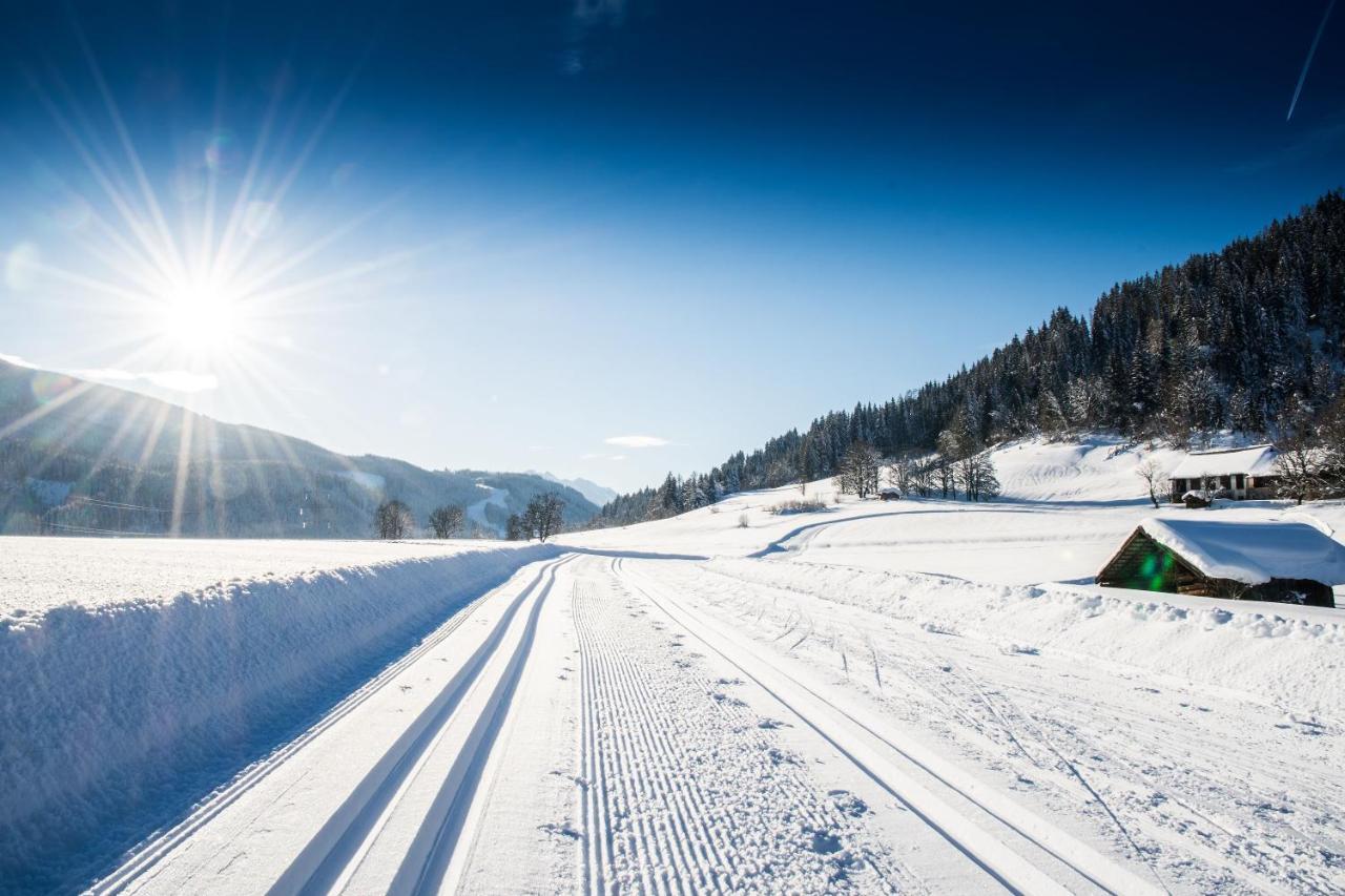 Natursinn Mountainchalets Flachau Exteriér fotografie